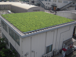 折板屋根施工例1