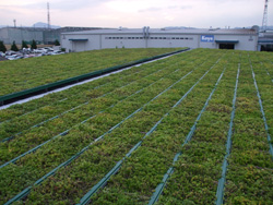 折板屋根施工例1