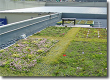 工場の屋根緑化ならグリーンルーフ.ティービーにお任せください