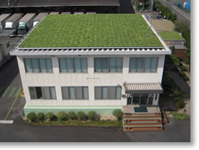 工場屋根緑化施工例VUS500