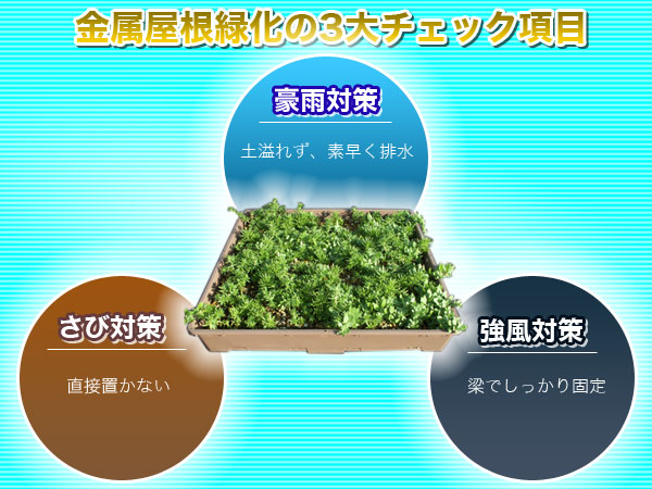 金属屋根の3大チェックポイント図